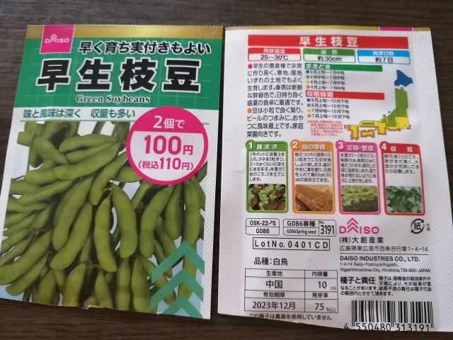 ダイソー枝豆の種　何粒4